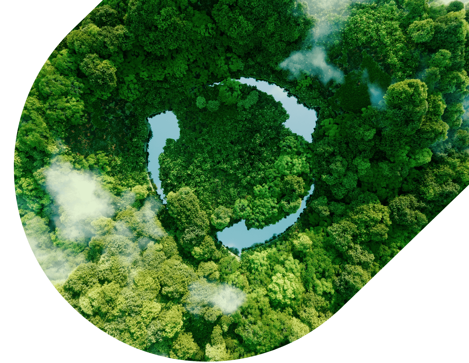 landscape-trees-lake-recycling